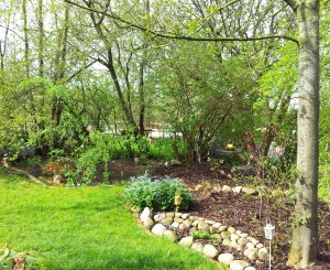 Wald- und Schattenbeet